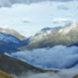 Meet your Posher, Jackson